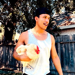 Lion and Chicken in Outdoor Setting