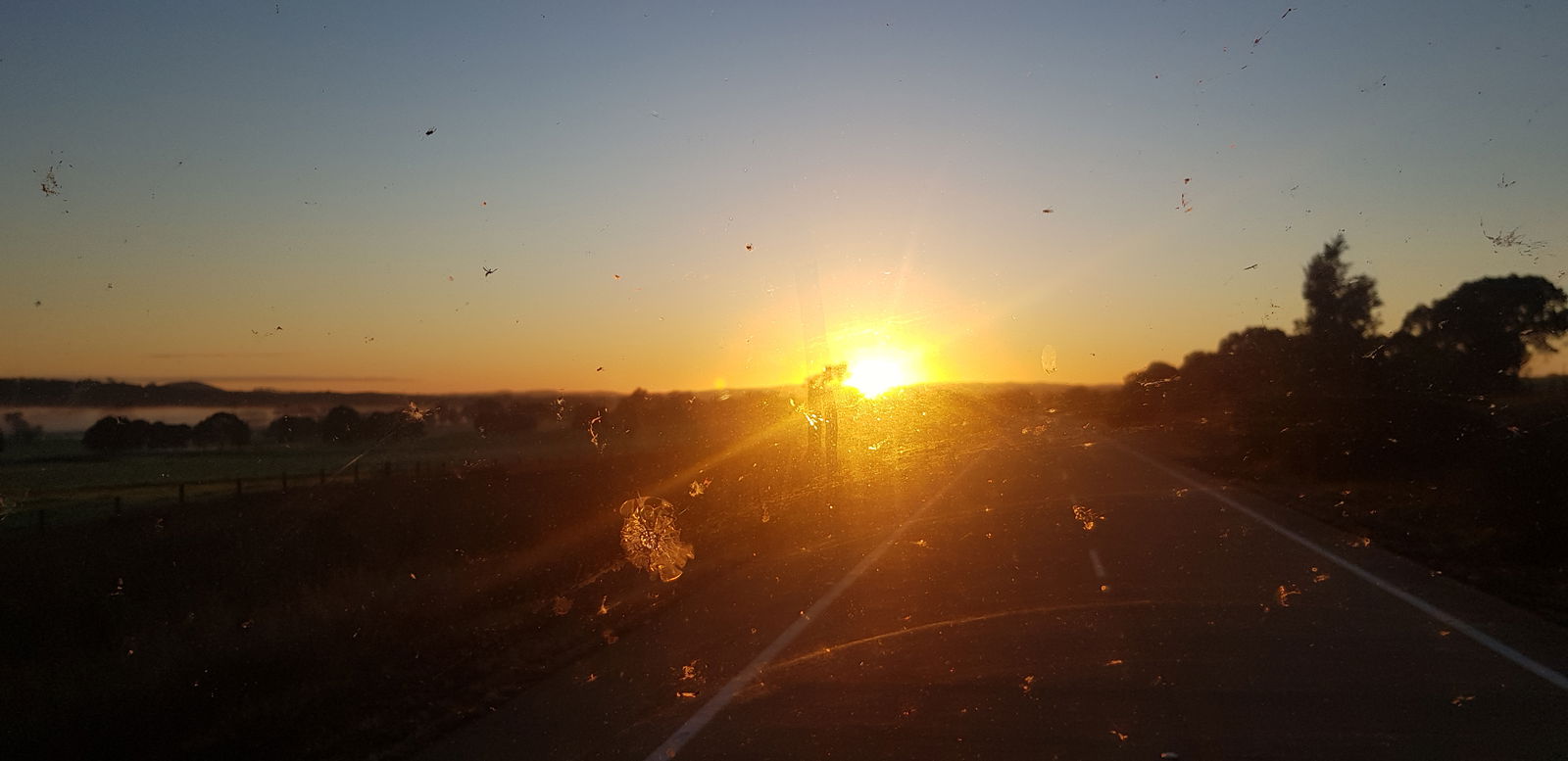 Sydney Mike 30 photo