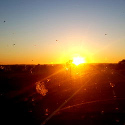 Sydney Mike 30 photo