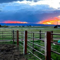 BB๐ฉต๐ฉต photo