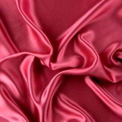 Gwen the bunny, xo๐ท๏ธ photo