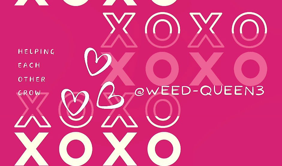 👑🖤 ᴡᴇᴇᴅ-Qᴜᴇᴇɴ3 🖤👑 photo