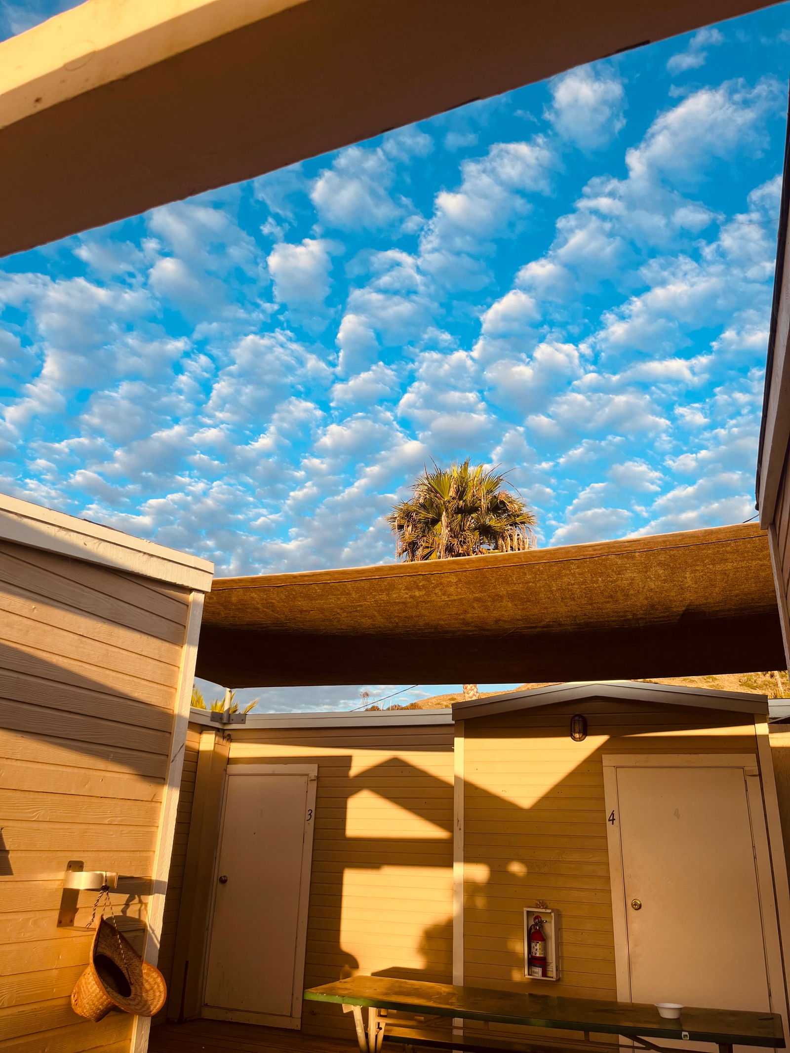 🍬Sweetttpea photo