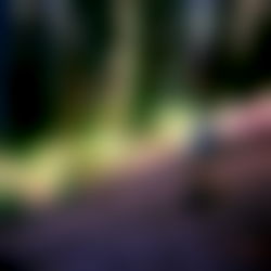 ๐ฌSweetttpea photo