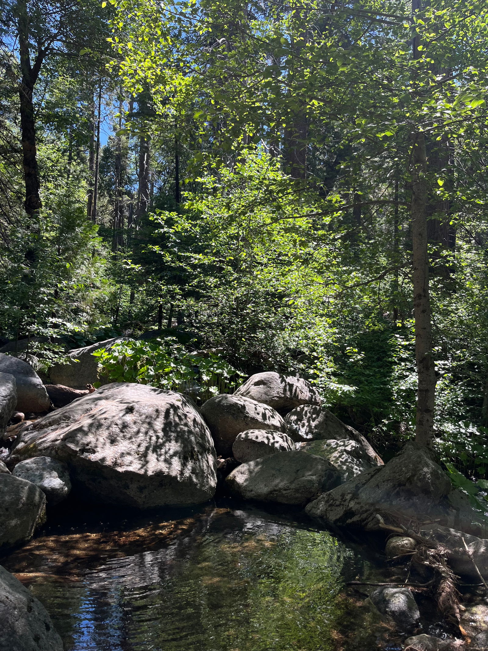 🍬Sweetttpea photo