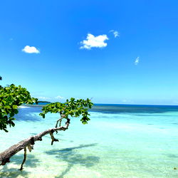 Serene Tropical Beach Escape