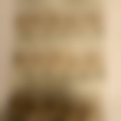 That chubby guy photo