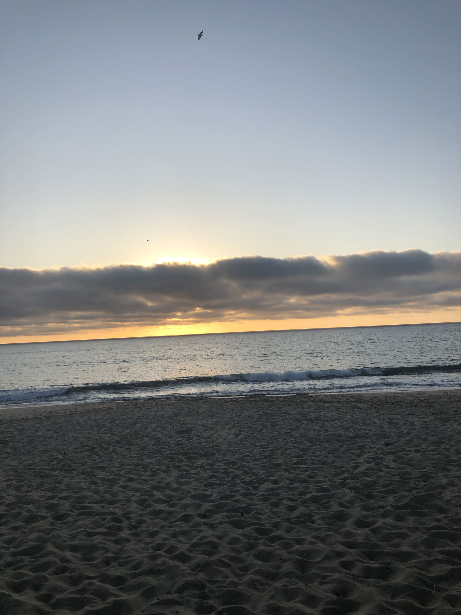 Taiján Dockery photo