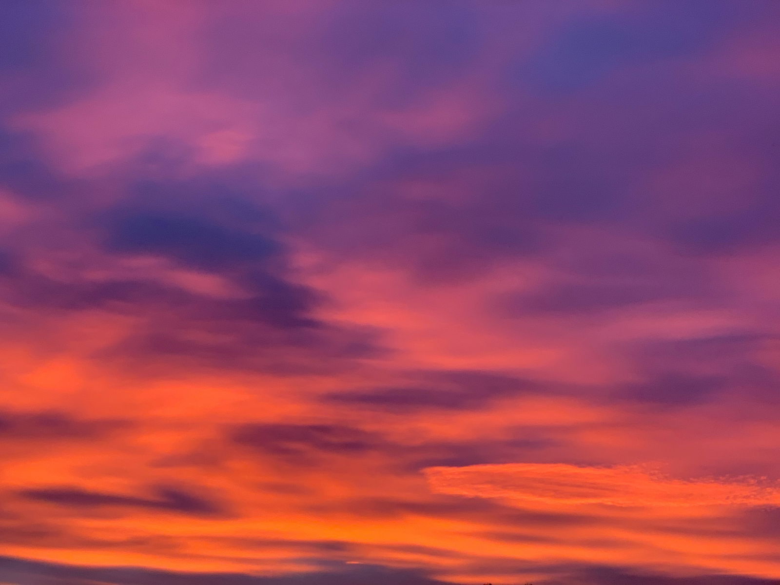 H O N E Y 🍯 photo