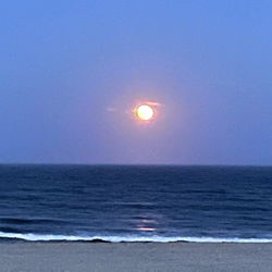 SoleTeacher411 photo