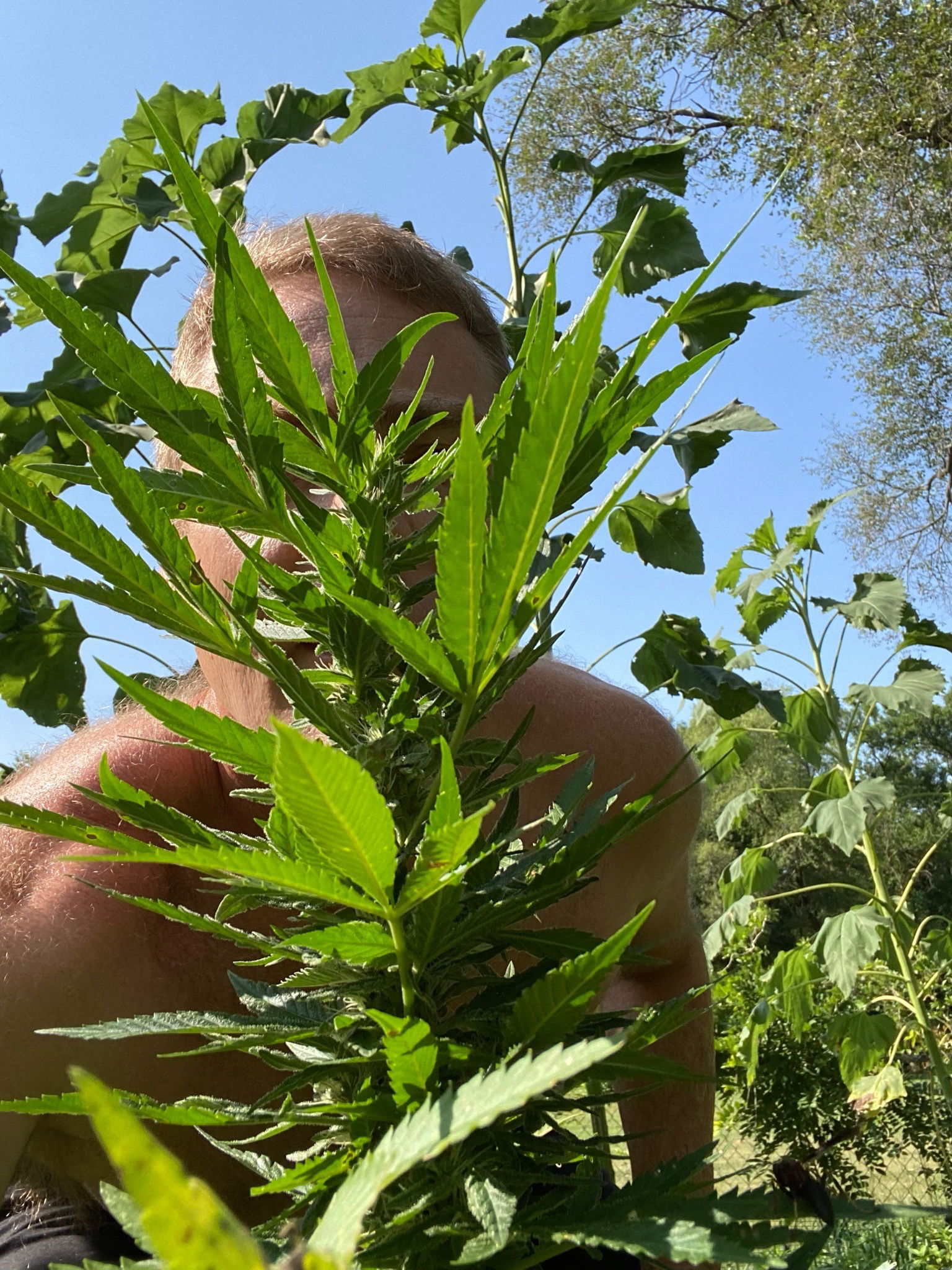 Stay_at_home_dilf photo