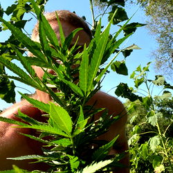 Stay_at_home_dilf photo