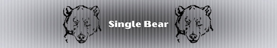 Single Bear photo