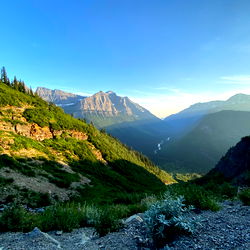 LeviWranglerXXX photo