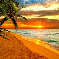 Breathtaking Beach Sunset