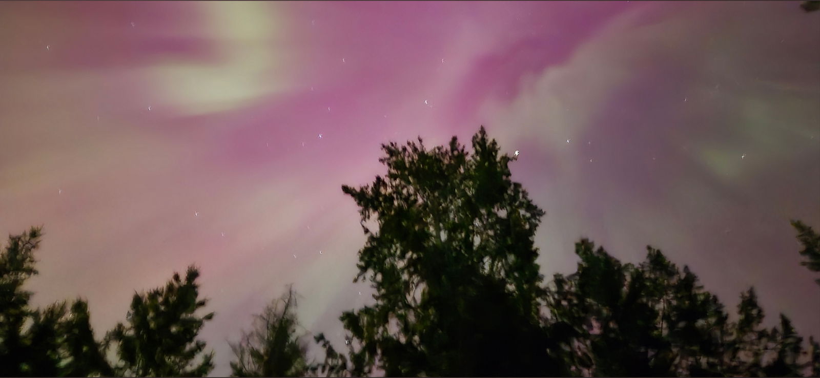 PlantsandNudes photo