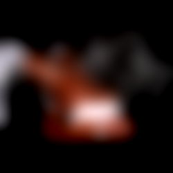 August Skye VIP photo