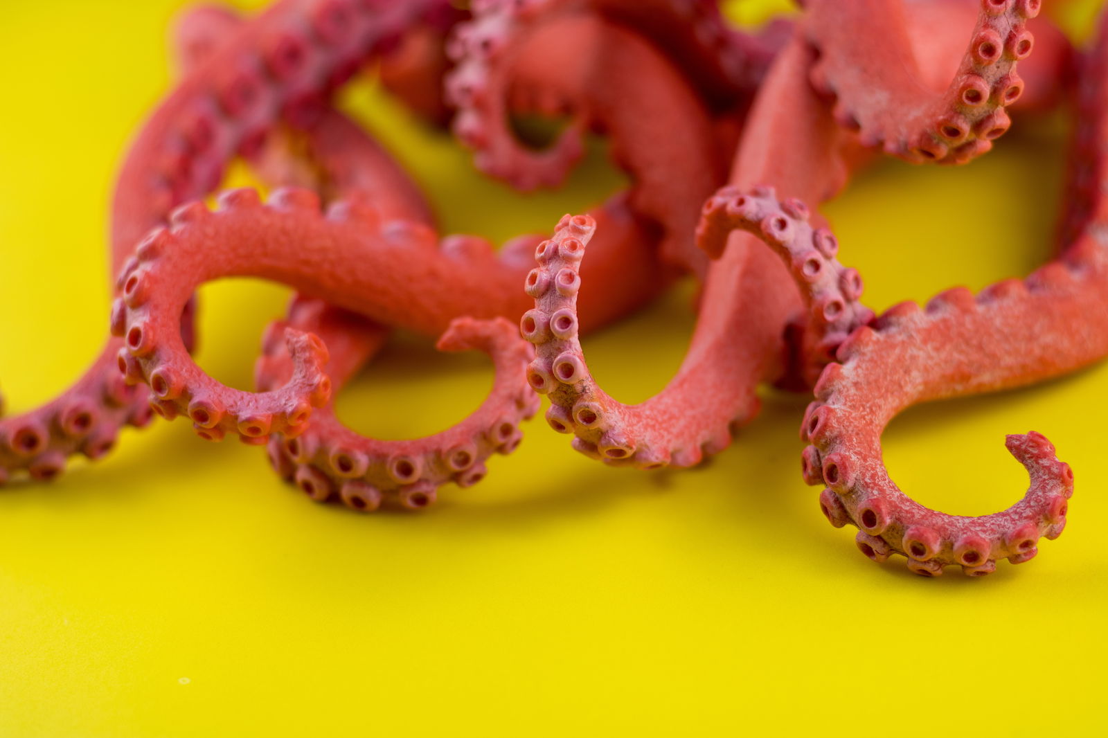 Glitch 💿 | Free PPV account photo