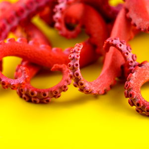 Glitch ๐ฟ | Free PPV account photo