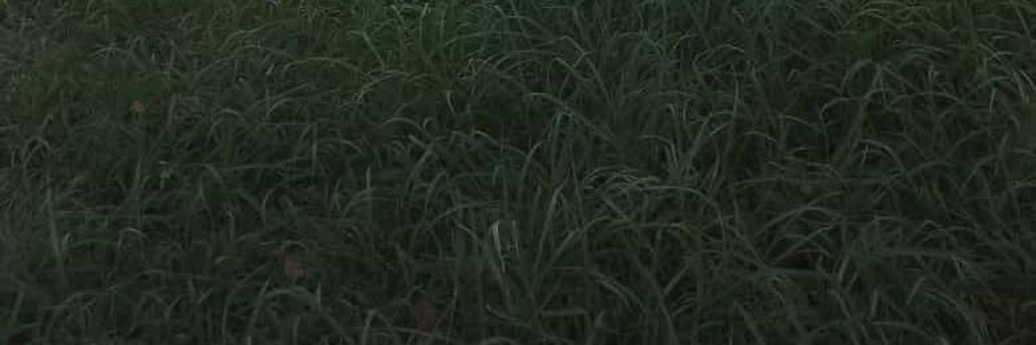 PAPPI ONLYFANS photo