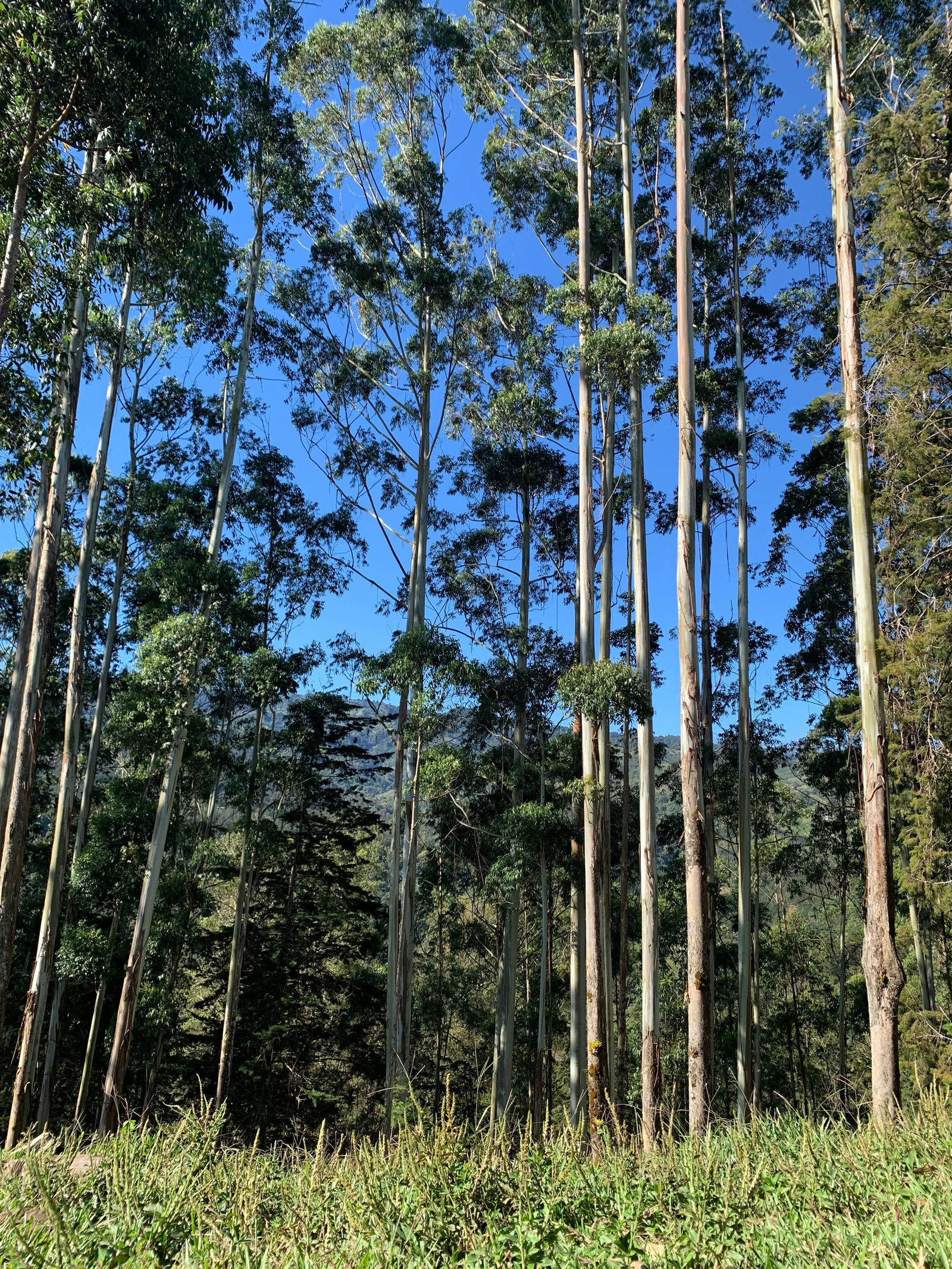 𓇢𓆸  𝑌  𝑂  𝑅  𝐼  𓆙 photo