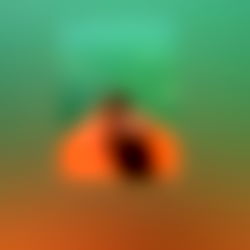 Iuhas Alexandra VIP photo