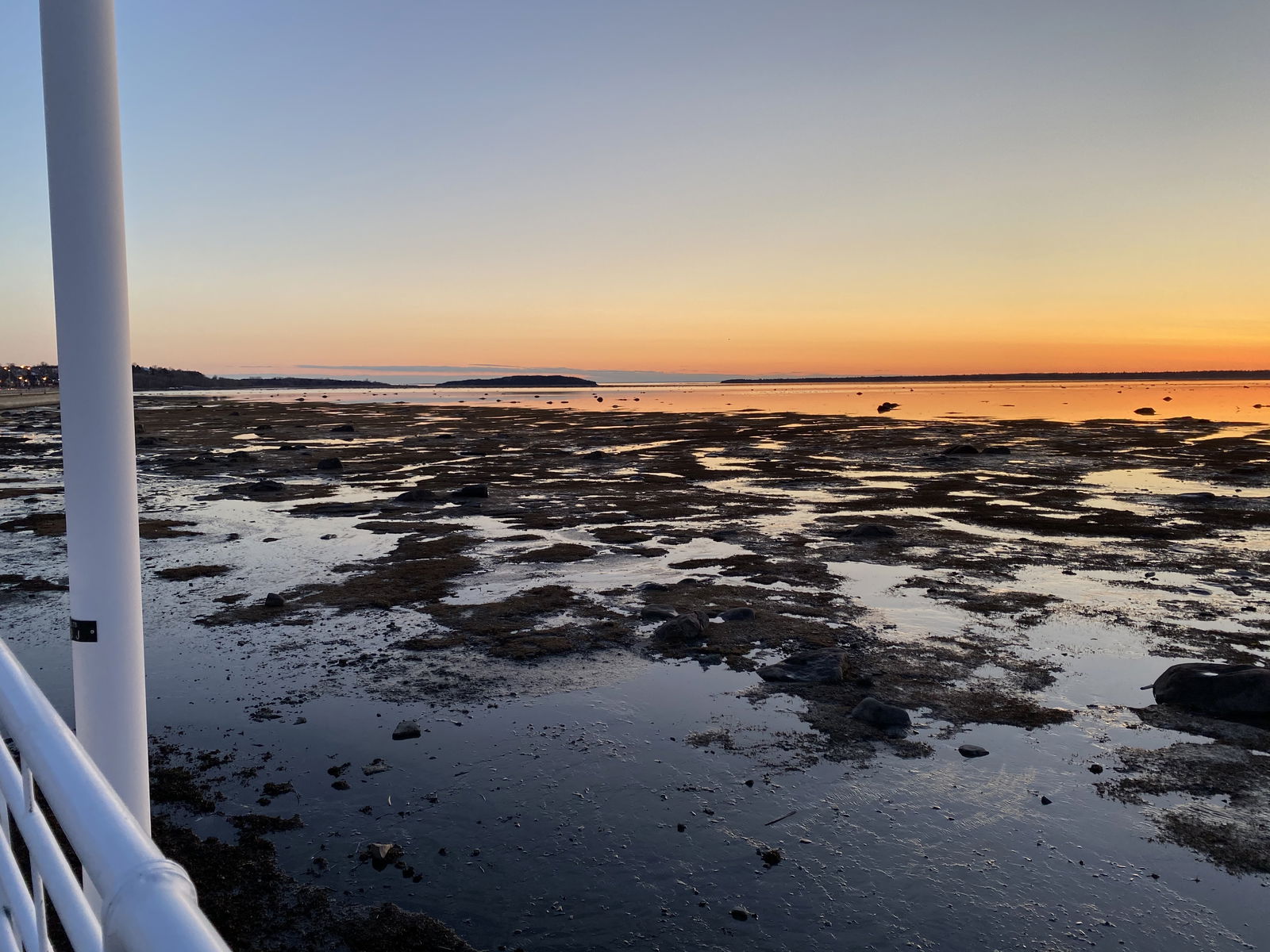 Alicia Elizabeth Pineault photo