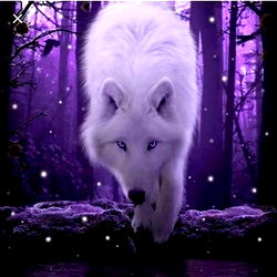 Shannon Houseweart photo