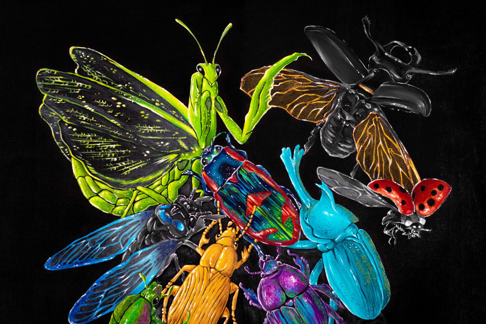 Alejandra Cora photo