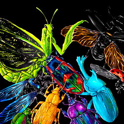 Alejandra Cora photo