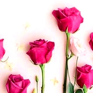 AlexisNicoleMccage photo