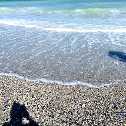 Phat.Ass.White.Girl photo