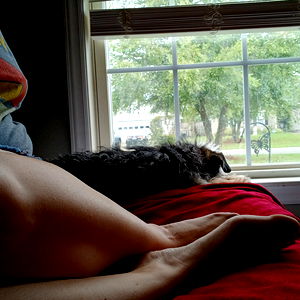 Paramour Next Door photo