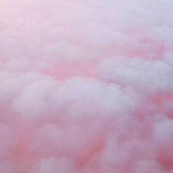 Fluffy Pink Clouds