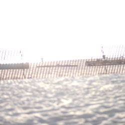 Dominique Rystan photo