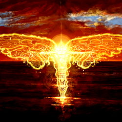 Curves of Venus photo