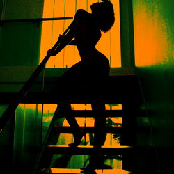 Fitness Model in Elevated Home Environment