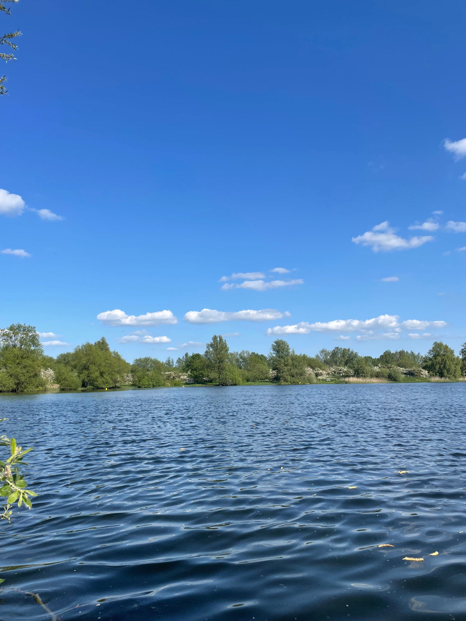 April’Rae🇯🇲 photo