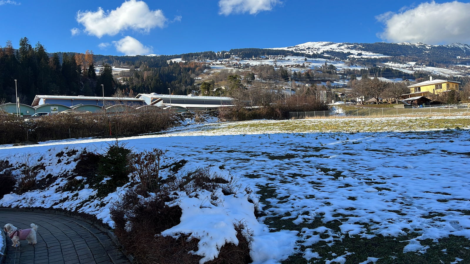 Alexandre Guerreiro photo
