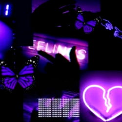 Alaya's Purple and Black Aesthetic Collection