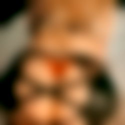 English Abby ๐ฌ๐งBig Booty delicious ๐ฌ๐ง photo