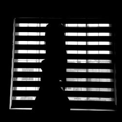 AteneaInk's Window Silhouette