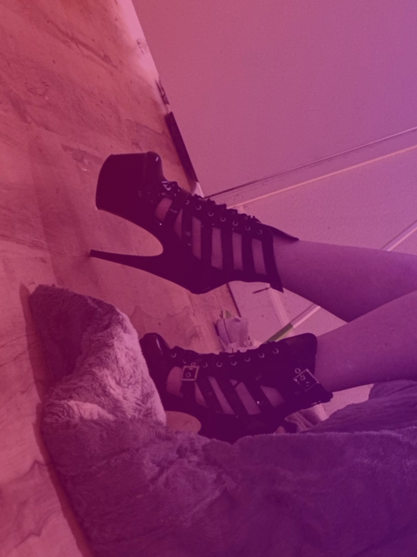 Eternity Rose 🌹🩷 photo