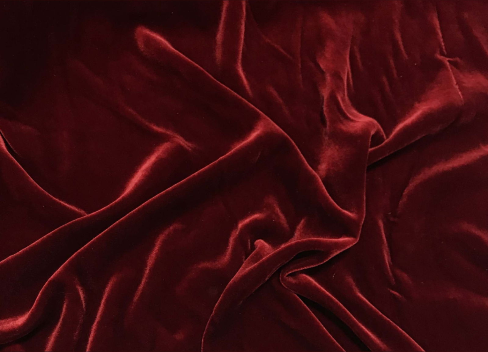 Antoinette Blue photo