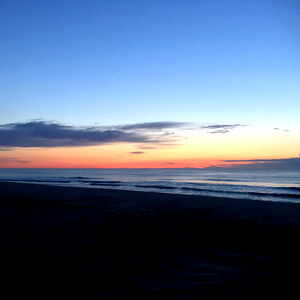 Chris and Ashley photo