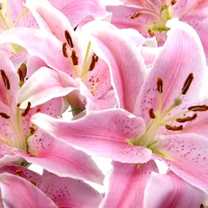 Jade Marie๐ป photo