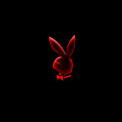 thebaddesttiny_bebe photo