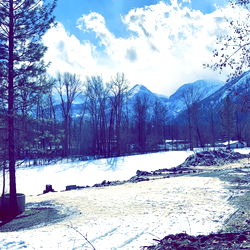 Aahicksseattle photo