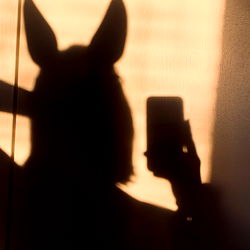 OnlyFans Model Silhouette in Horse Mask