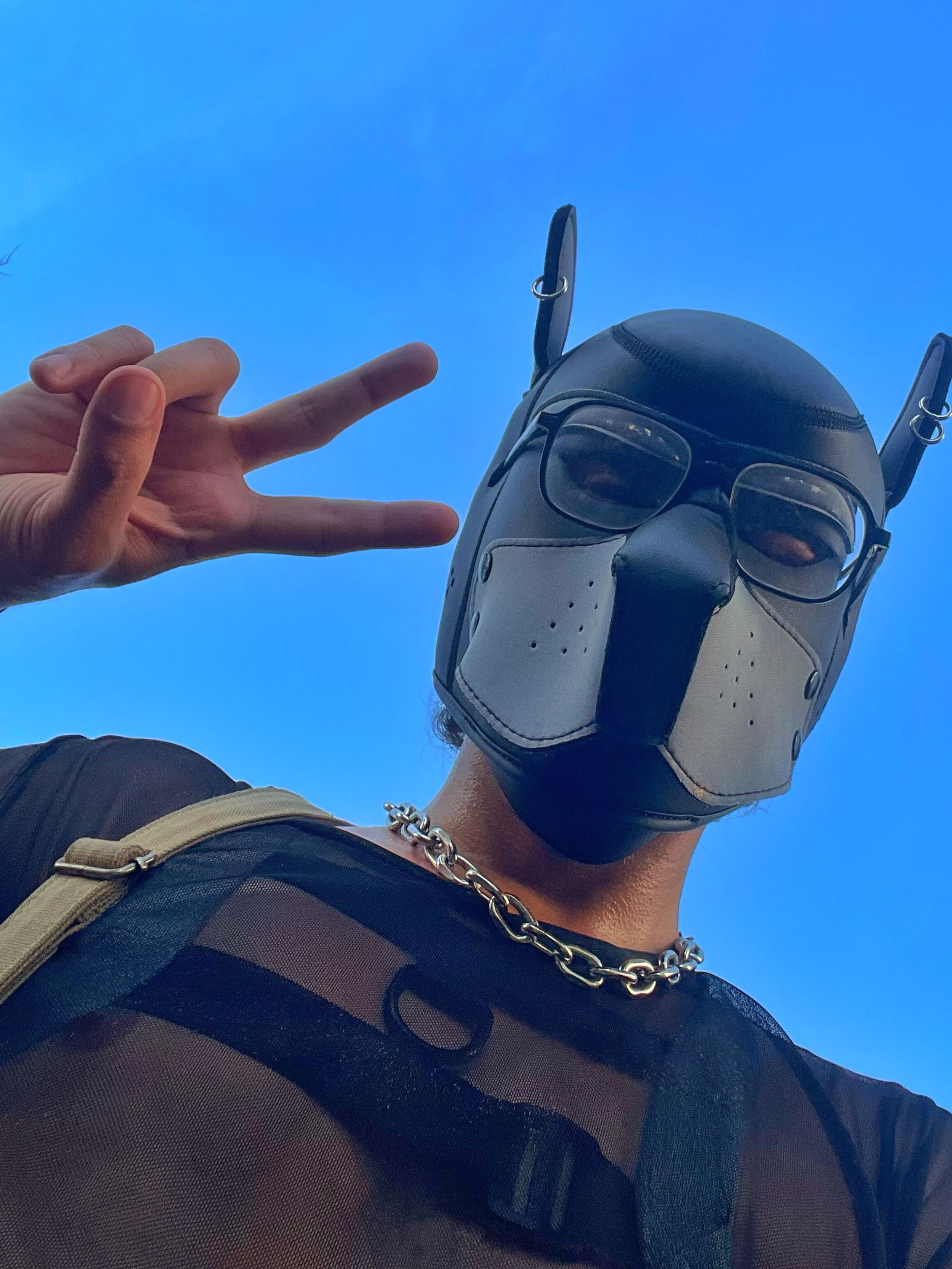 Puppy Edan 🐶 photo